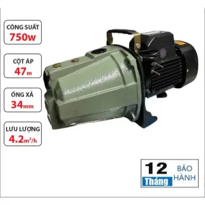 Máy Bơm Nước Con Lợn Bảo Long JET-100 750W